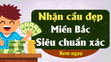 Phân tích dự đoán Xổ Số Miền Bắc ngày 24/11/2024 - Dự đoán XSMB 24-11-2024