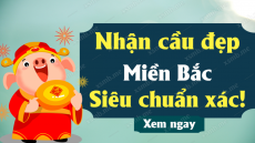 Phân tích dự đoán Xổ Số Miền Bắc ngày 20/11/2024 - Dự đoán XSMB 20-11-2024